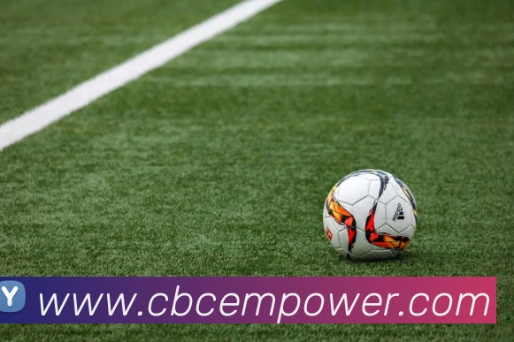 华体会官方网站发展历程